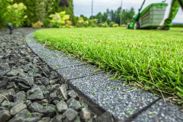 Aesthetic Garden Edging